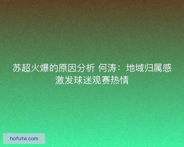 苏超火爆的原因分析 何涛:地域归属感激发球迷观赛热情 苏超火爆的原因分析 何涛:地域归属感激发球迷观赛热情