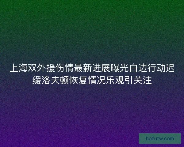 上海双外援伤情最新进展曝光白边行动迟缓洛夫顿恢复情况乐观引关注